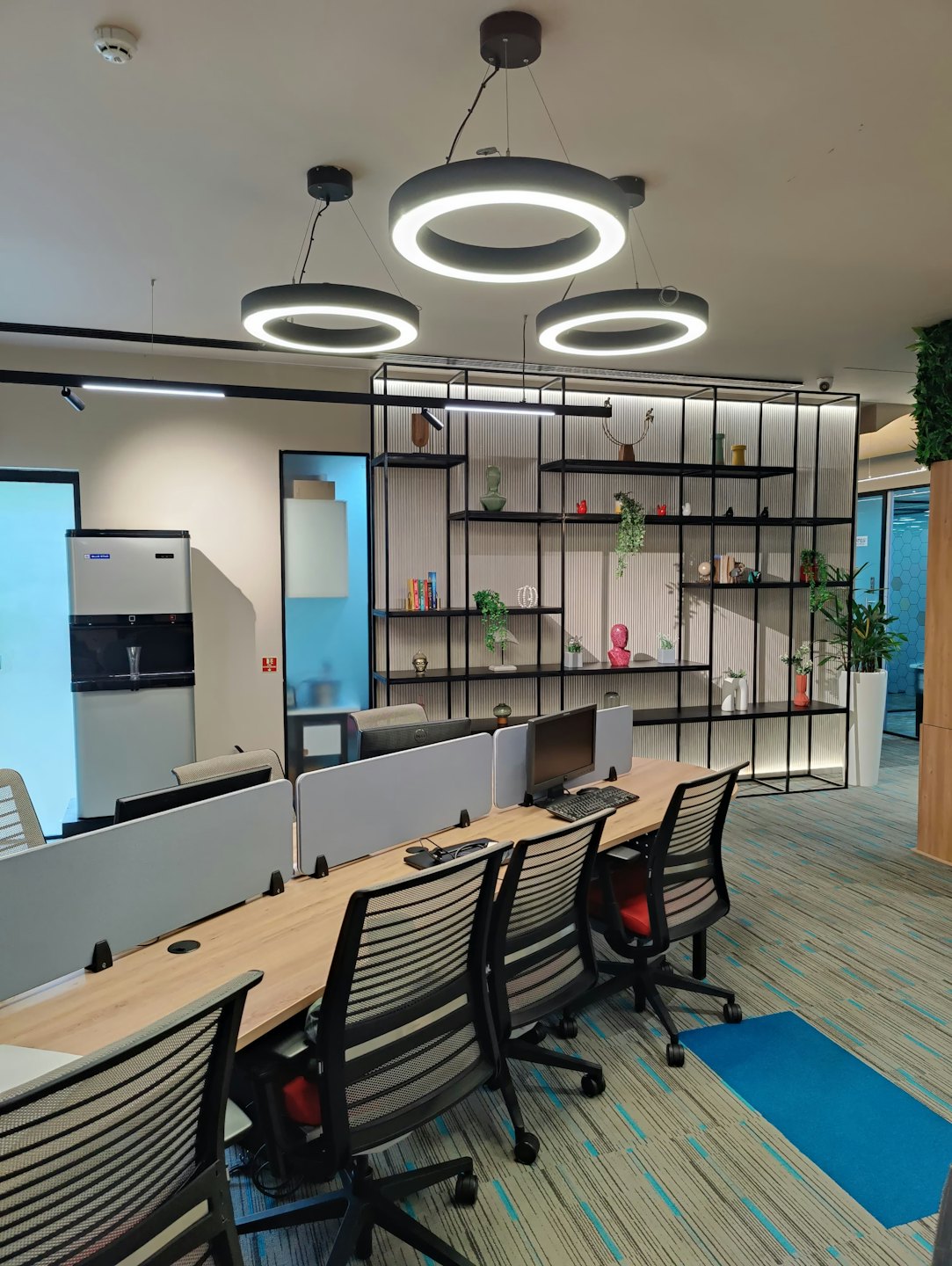 Modern office desks with chairs facing a decorative plant shelf.