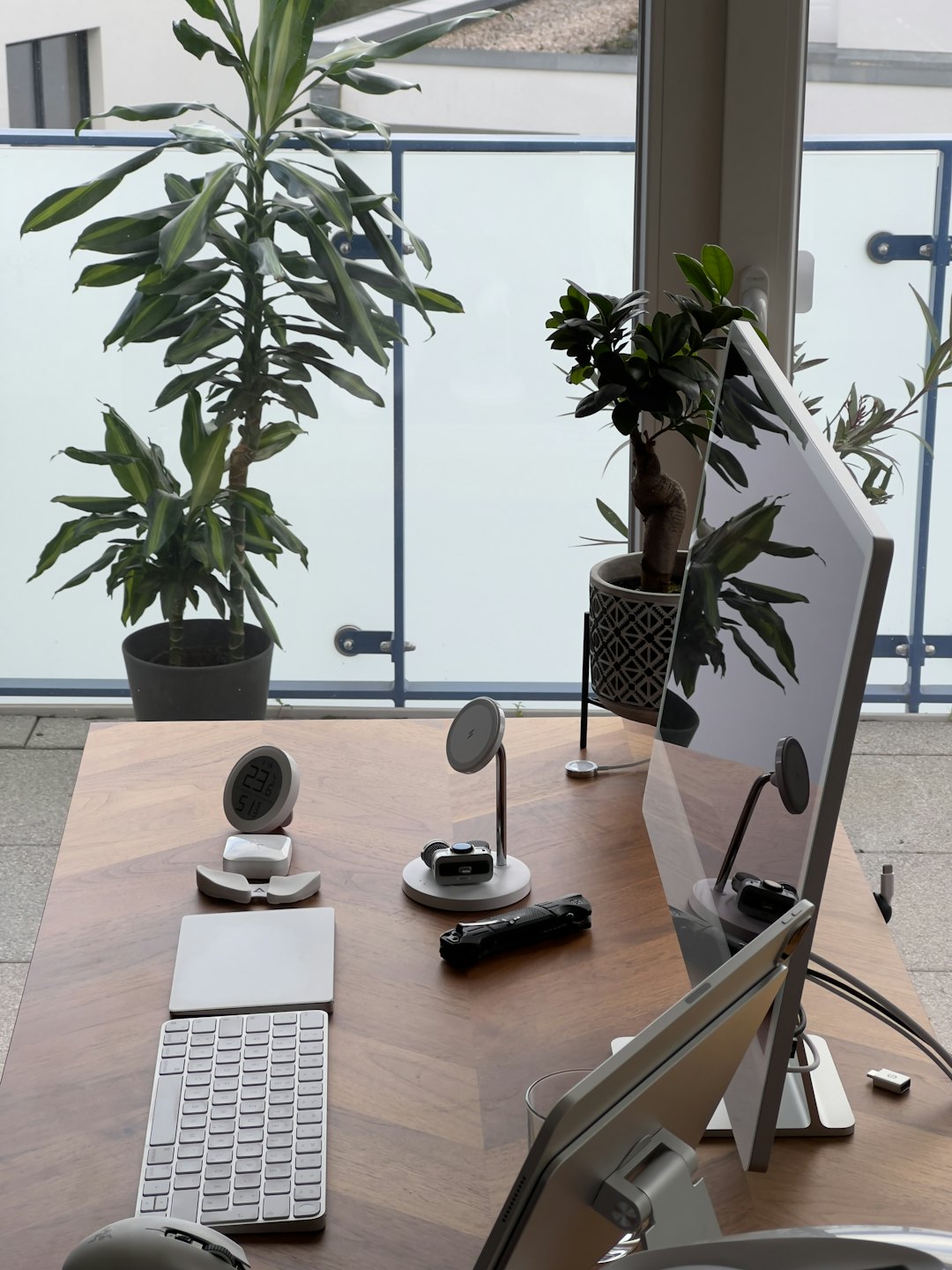 Neatly organized wooden desk with computer and plants.
